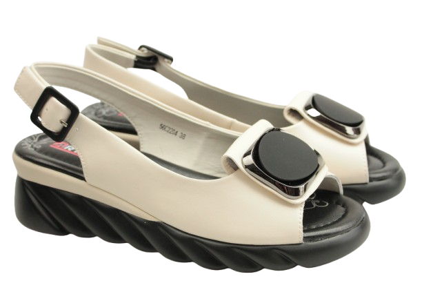 IMG_0899-removebg-preview