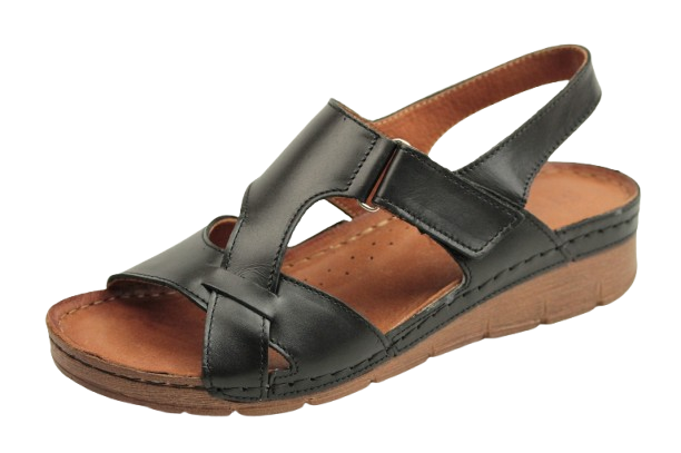 IMG_0904-removebg-preview