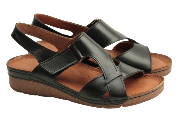 IMG_0906-removebg-preview