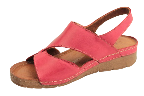 IMG_0910-removebg-preview