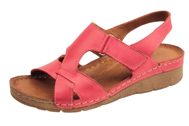 IMG_0911-removebg-preview