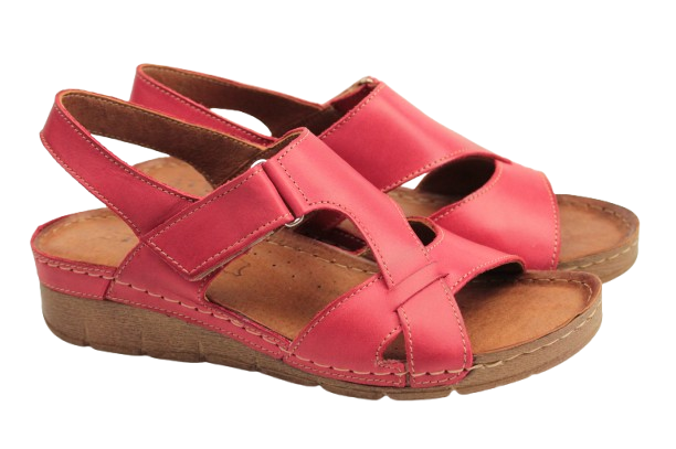 IMG_0913-removebg-preview