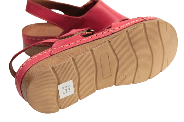 IMG_0914-removebg-preview