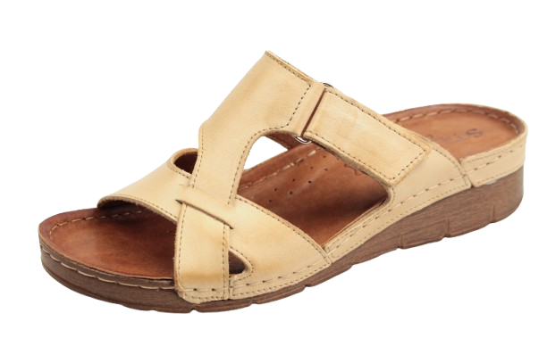 IMG_0925-removebg-preview IMG_0925-removebg-preview