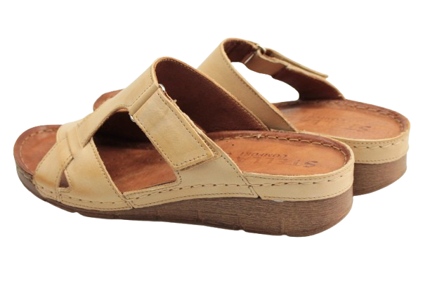 IMG_0926-removebg-preview IMG_0926-removebg-preview