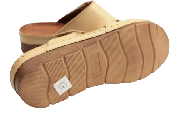 IMG_0928-removebg-preview IMG_0928-removebg-preview