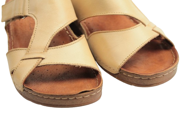 IMG_0929-removebg-preview IMG_0929-removebg-preview