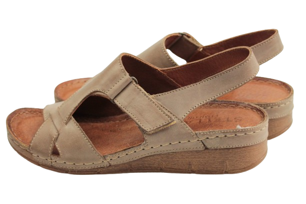 IMG_0933-removebg-preview