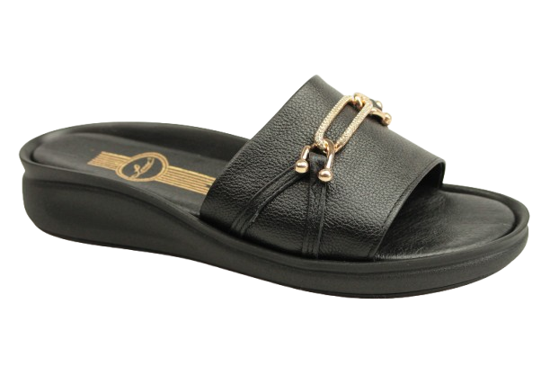 IMG_0937-removebg-preview (1) IMG_0937-removebg-preview (1)