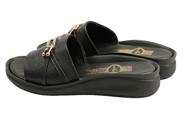 IMG_0940-removebg-preview IMG_0940-removebg-preview