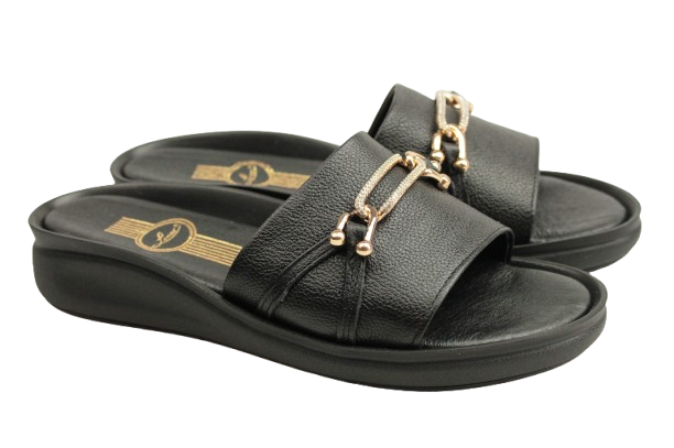 IMG_0941-removebg-preview IMG_0941-removebg-preview