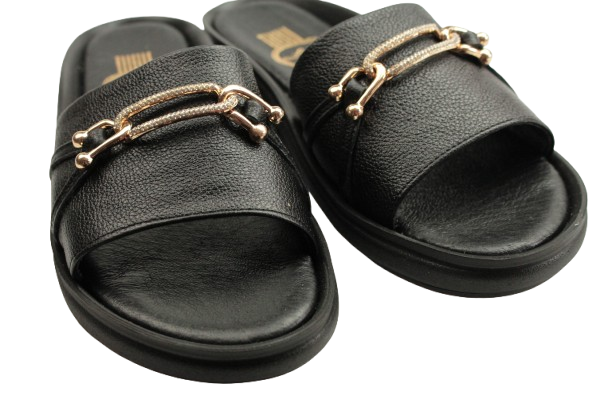 IMG_0943-removebg-preview IMG_0943-removebg-preview