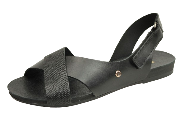 IMG_0946-removebg-preview