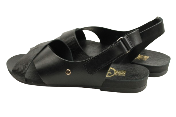 IMG_0947-removebg-preview