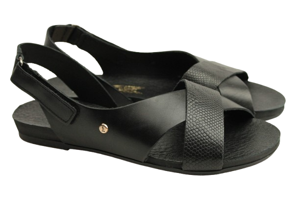 IMG_0948-removebg-preview