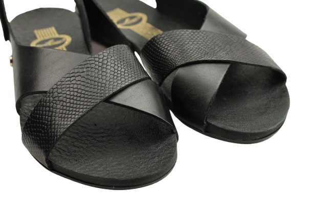 IMG_0950-removebg-preview