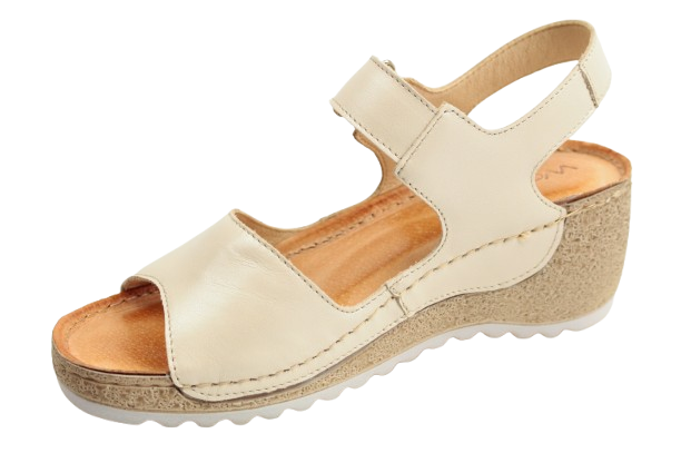 IMG_0952-removebg-preview