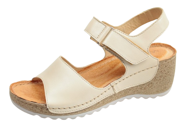 IMG_0953-removebg-preview