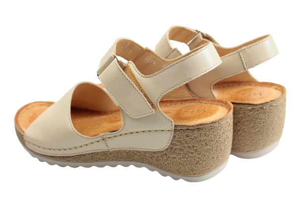 IMG_0954-removebg-preview