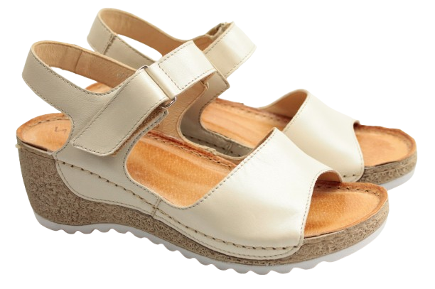 IMG_0955-removebg-preview