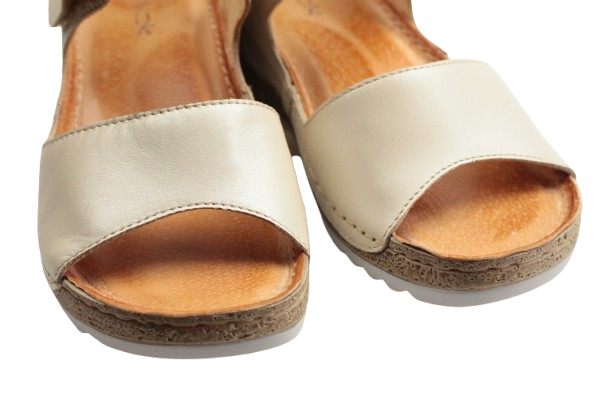 IMG_0957-removebg-preview