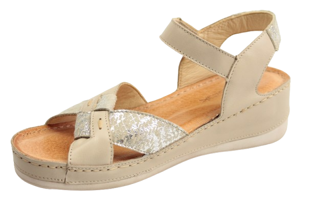 IMG_0959-removebg-preview