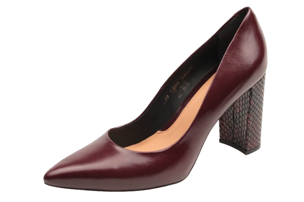 IMG_1072-removebg-preview IMG_1072-removebg-preview