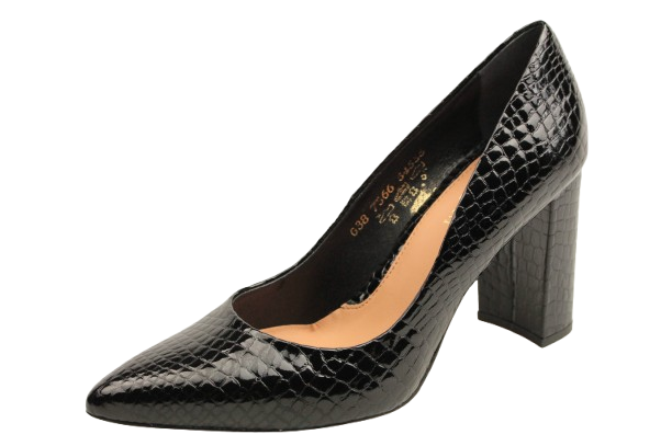 IMG_1079-removebg-preview (1) IMG_1079-removebg-preview (1)