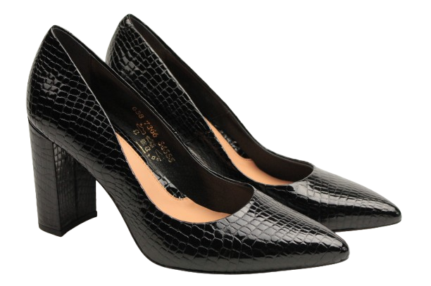 IMG_1081-removebg-preview IMG_1081-removebg-preview