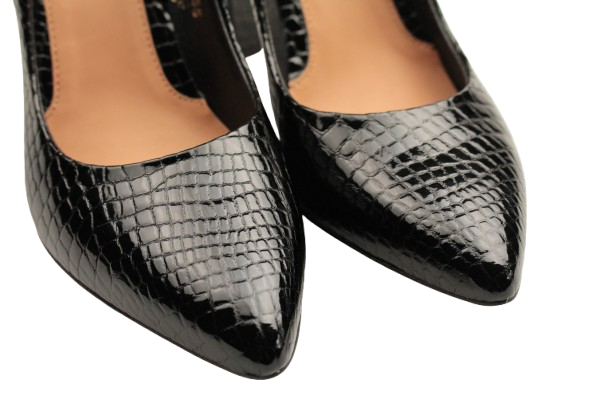 IMG_1083-removebg-preview IMG_1083-removebg-preview