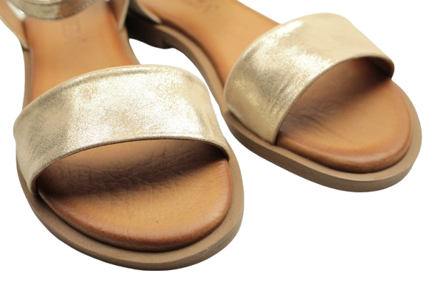 IMG_1097-removebg-preview (1)