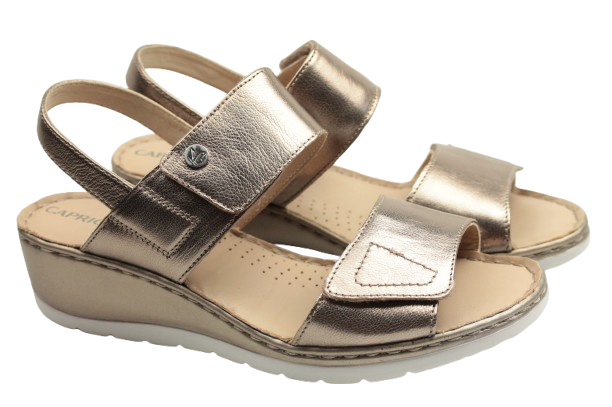 IMG_1116-removebg-preview (1)