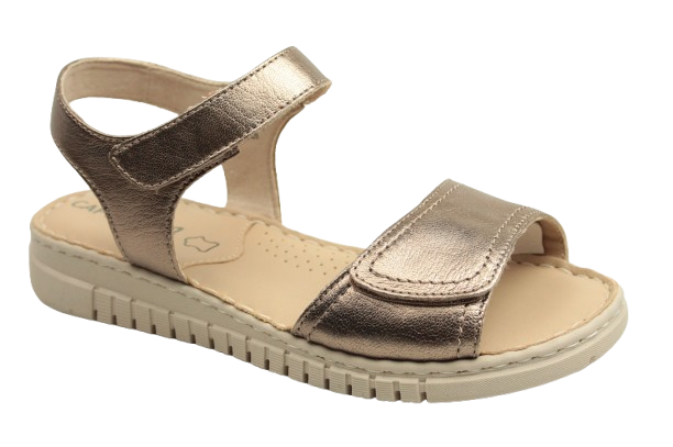 IMG_1119-removebg-preview IMG_1119-removebg-preview