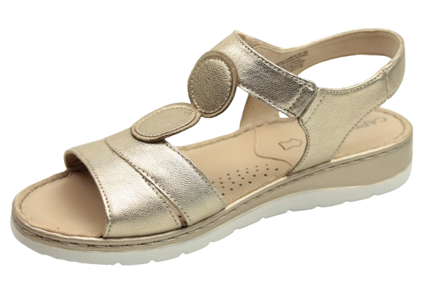 IMG_1127-removebg-preview (1)