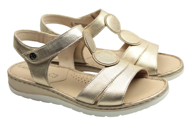 IMG_1130-removebg-preview