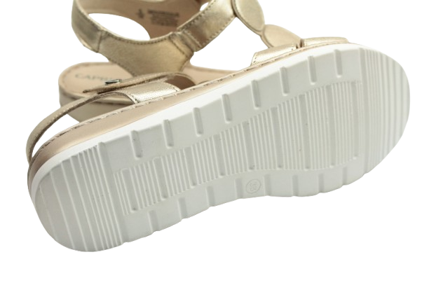 IMG_1131-removebg-preview (1)