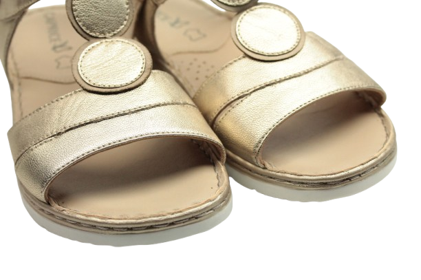 IMG_1132-removebg-preview