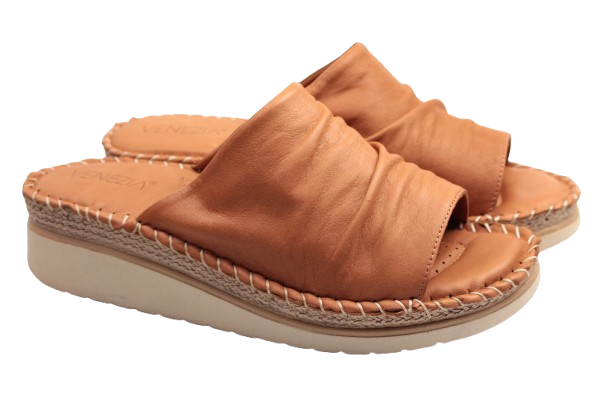 IMG_1165-removebg-preview