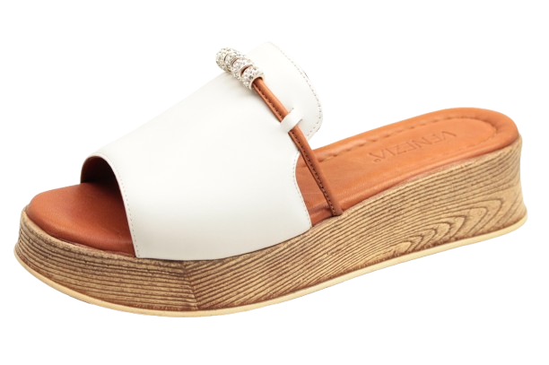 IMG_1177-removebg-preview