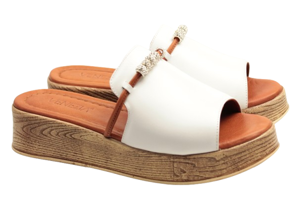 IMG_1179-removebg-preview