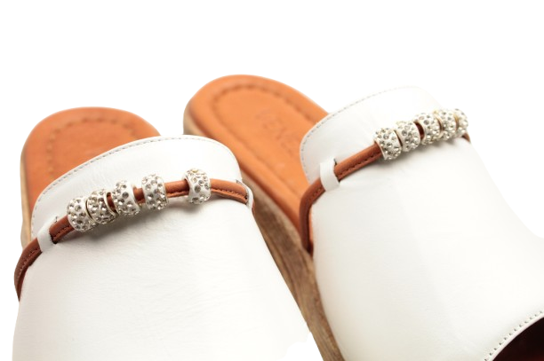 IMG_1181-removebg-preview