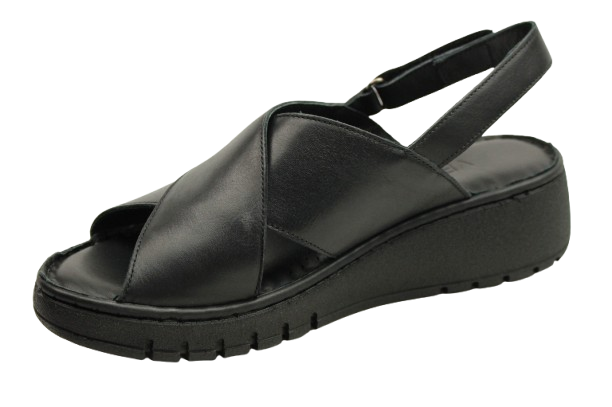 IMG_1183-removebg-preview