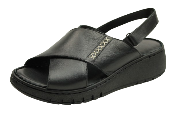 IMG_1184-removebg-preview