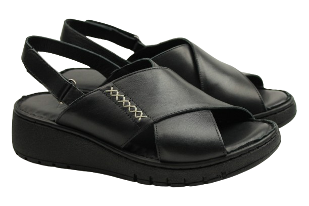 IMG_1186-removebg-preview