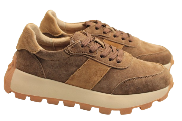 IMG_1364-removebg-preview IMG_1364-removebg-preview