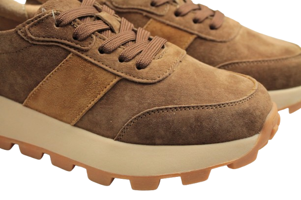 IMG_1369-removebg-preview IMG_1369-removebg-preview