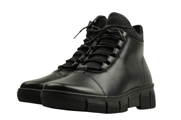 IMG_1667-removebg-preview IMG_1667-removebg-preview