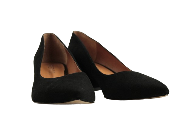 IMG_1813-removebg-preview IMG_1813-removebg-preview