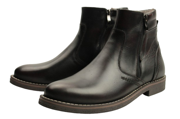 IMG_1872-removebg-preview