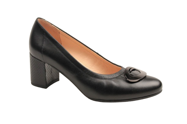 IMG_1943-removebg-preview IMG_1943-removebg-preview